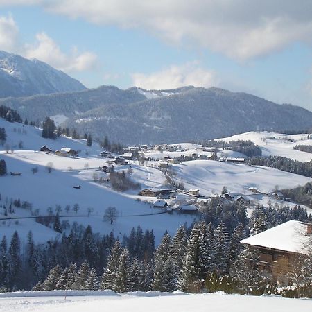 Haus Oberhaslach Apartment Abtenau Exterior foto