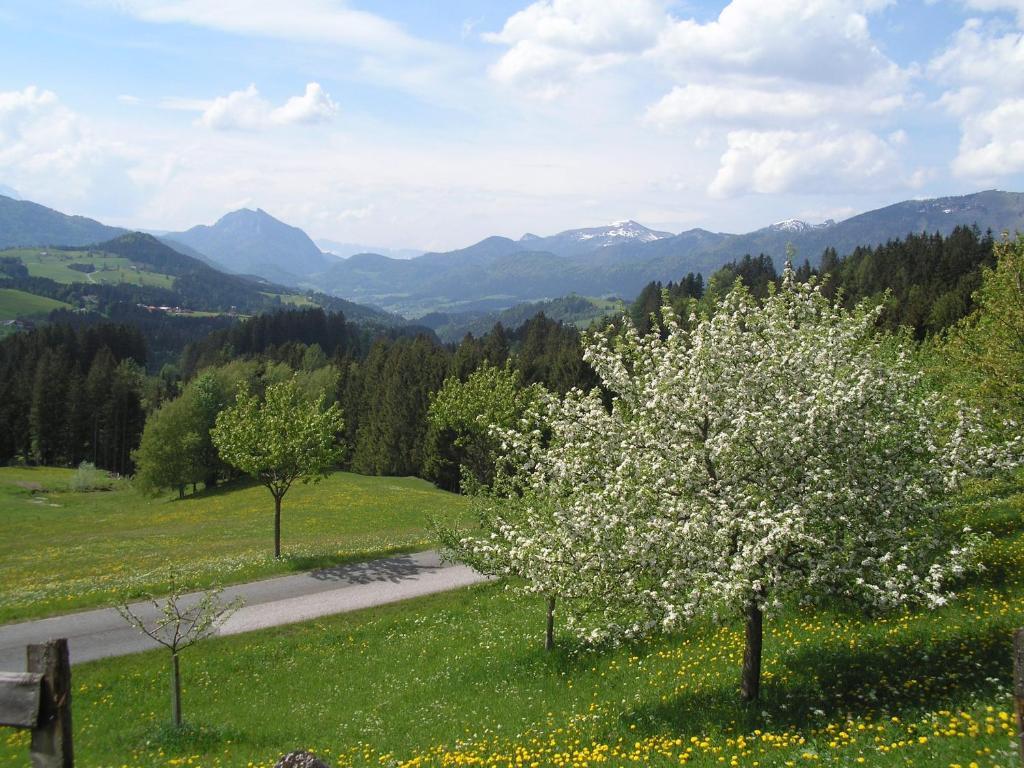 Haus Oberhaslach Apartment Abtenau Exterior foto